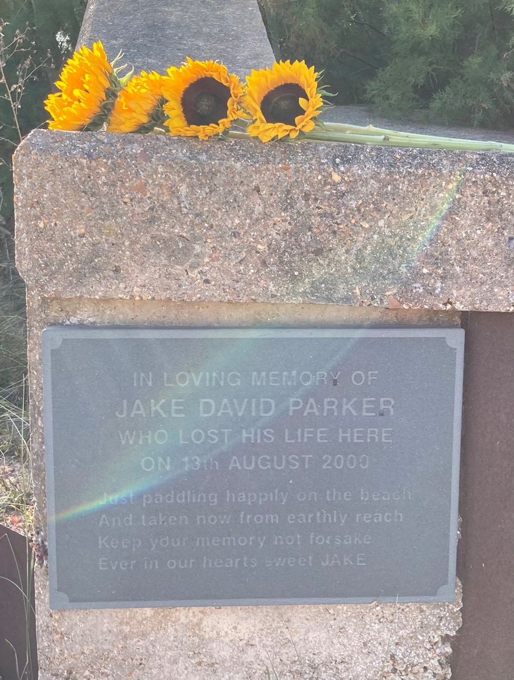 Jake David Parker 