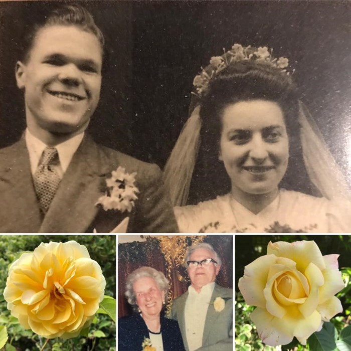 Phyllis and Ronald Lovegrove